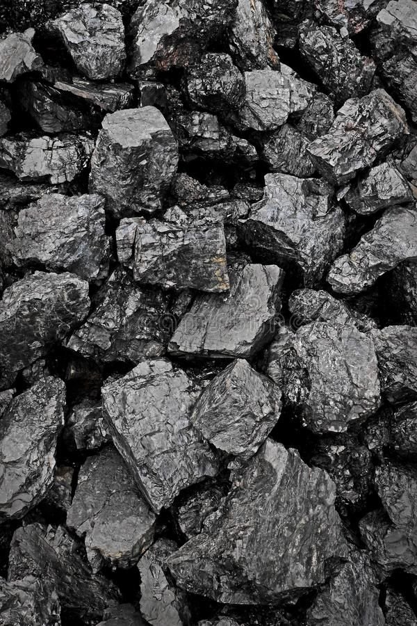 Coal